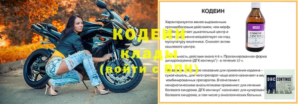 a pvp Няндома